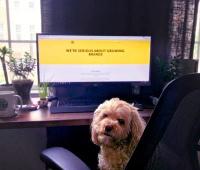 Mondays aren’t so ruff